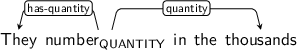 Dependency graph for sentence: They number in the thousands. Token number is labeled QUANTITY and has an edge labeled has-quantity to token They and an edge labeled quantity to token thousands.