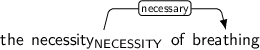 Dependency graph for sentence: the necessity of breathing. Token necessity is labeled NECESSITY and has an edge labeled necessary to token breathing.
