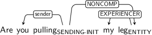 Dependency graph for sentence: Are you pulling my leg. Token pulling is labeled SENDING-INIT and has an edge labeled sender to token you and an edge labeled NONCOMP to token leg. Token leg is labeled ENTITY and has an edge labeled EXPERIENCER to token my.
