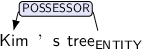 Dependency graph for sentence: Kim ’s tree. Token tree is labeled ENTITY and has an edge labeled POSSESSOR:hl to token Kim.