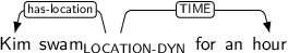 Dependency graph for sentence: Kim swam for an hour. Token swam is labeled LOCATION-DYN and has an edge labeled has-location to token Kim and an edge labeled TIME to token hour.