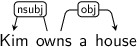 Dependency graph for sentence: Kim owns a house.