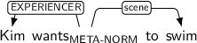 Dependency graph for sentence: Kim wants to swim. Token wants is labeled META-NORM and has an edge labeled EXPERIENCER to token Kim and an edge labeled scene to token swim.