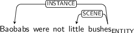 Dependency graph for sentence: Baobabs were not little bushes. Token bushes is labeled ENTITY and has an edge labeled INSTANCE to token Baobabs and an edge labeled SCENE to token little.