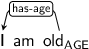 Dependency graph for sentence: I am old. Token old is labeled AGE and has an edge labeled has-age to token I.
