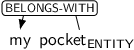 Dependency graph for sentence: my pocket. Token pocket is labeled ENTITY and has an edge labeled BELONGS-WITH to token my.