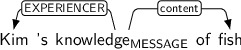 Dependency graph for sentence: Kim 's knowledge of fish. Token knowledge is labeled MESSAGE and has an edge labeled EXPERIENCER to token Kim and an edge labeled content to token fish.