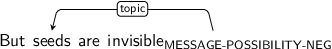 Dependency graph for sentence: But seeds are invisible. Token invisible is labeled MESSAGE-POSSIBILITY-NEG and has an edge labeled topic to token seeds.