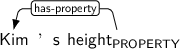 Dependency graph for sentence: Kim ’s height. Token height is labeled PROPERTY and has an edge labeled has-property to token Kim.
