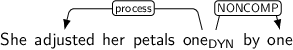 Dependency graph for sentence: She adjusted her petals one by one. Token one is labeled DYN and has an edge labeled process to token adjusted and an edge labeled NONCOMP to token one.