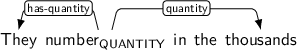 Dependency graph for sentence: They number in the thousands. Token number is labeled QUANTITY and has an edge labeled has-quantity to token They and an edge labeled quantity to token thousands.