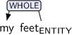Dependency graph for sentence: my feet. Token feet is labeled ENTITY and has an edge labeled WHOLE:hl to token my.